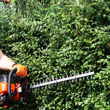 TOSASIEPE MODENA REGGIO EMILIA