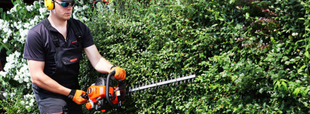 TOSASIEPE MODENA REGGIO EMILIA