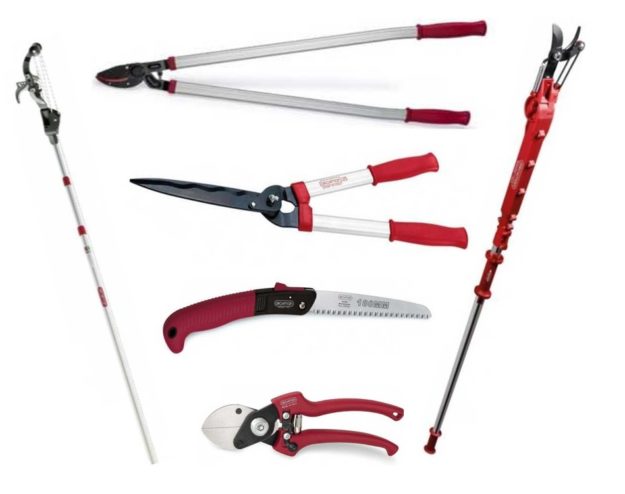 troncarami, svettatoi, seghetti, forbici, tagliasiepi