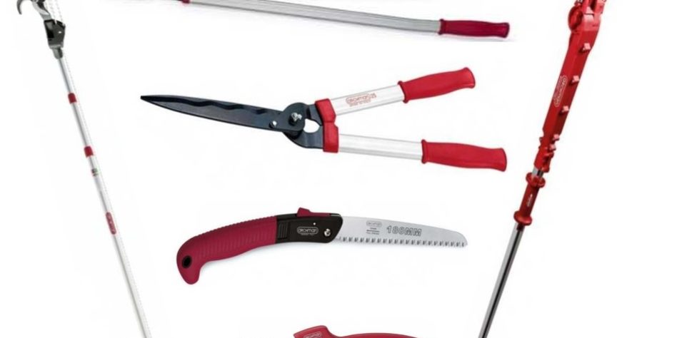 troncarami, svettatoi, seghetti, forbici, tagliasiepi